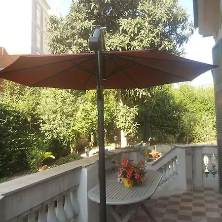 A Green Oasis In City Nyaraló *