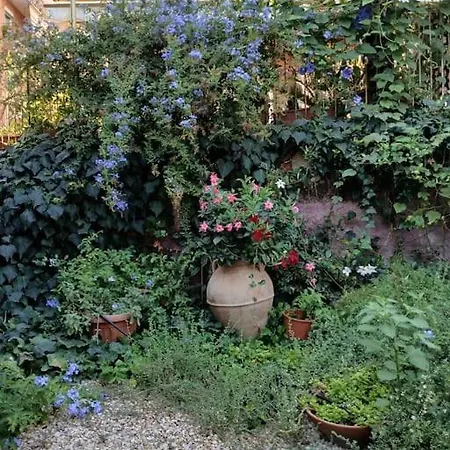 A Green Oasis In City Nyaraló *