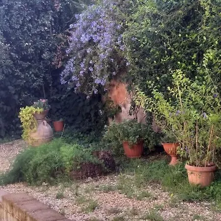 A Green Oasis In City Nyaraló *