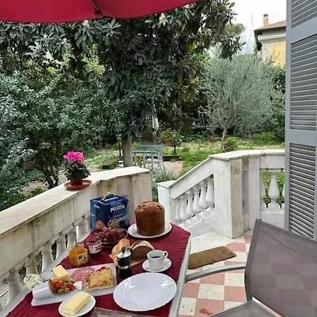 A Green Oasis In City *