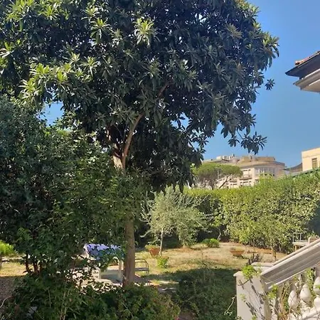A Green Oasis In City Nyaraló