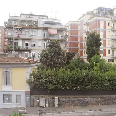 A Green Oasis In City *