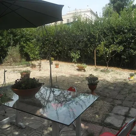 A Green Oasis In City Nyaraló *
