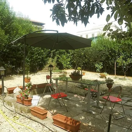 A Green Oasis In City *