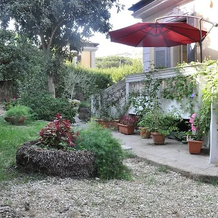 A Green Oasis In City Róma